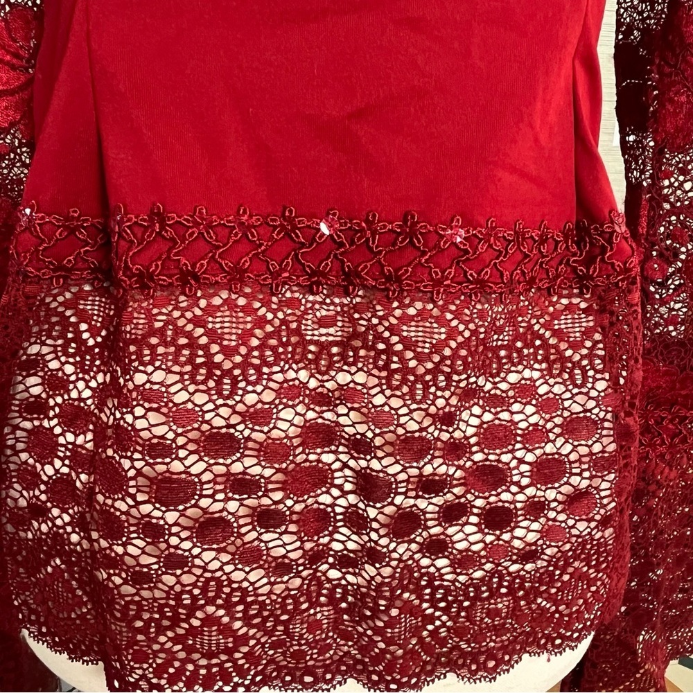 Elegant Red Lace Blouse - Picture 5 of 11